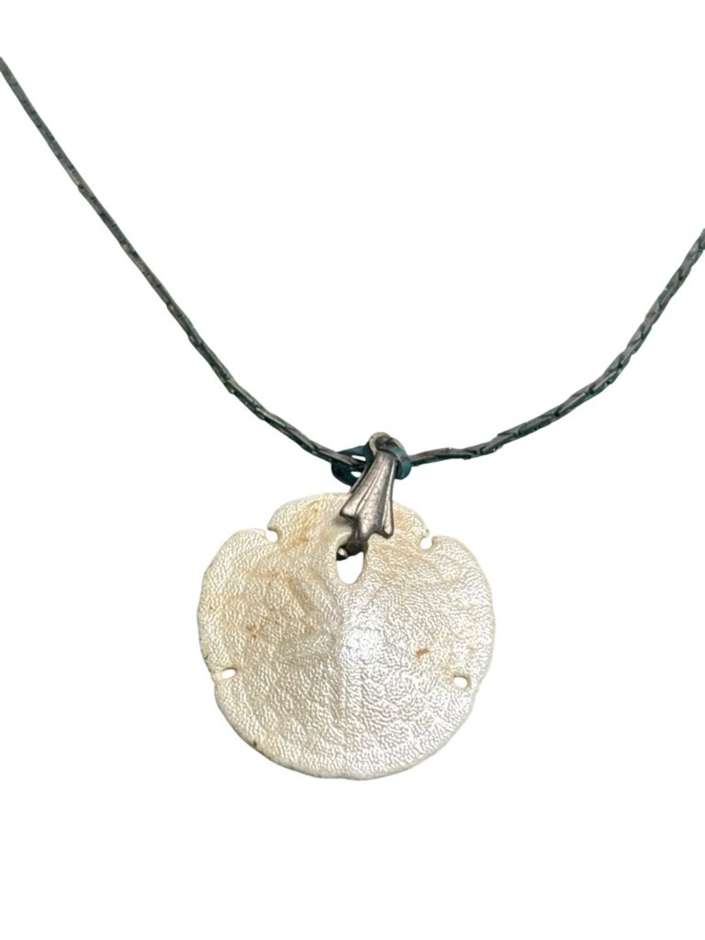 Vtg Natural Sand Dollar Pendant Necklace Silvertone Cobra Chain Dainty